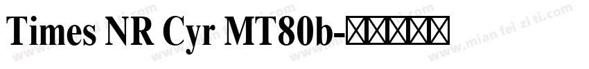 Times NR Cyr MT80b字体转换